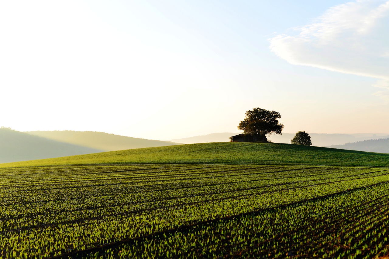 landscape, field, fields-3741871.jpg